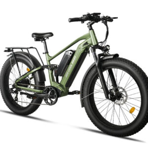 Electric Bike Bee Voyager (Used)